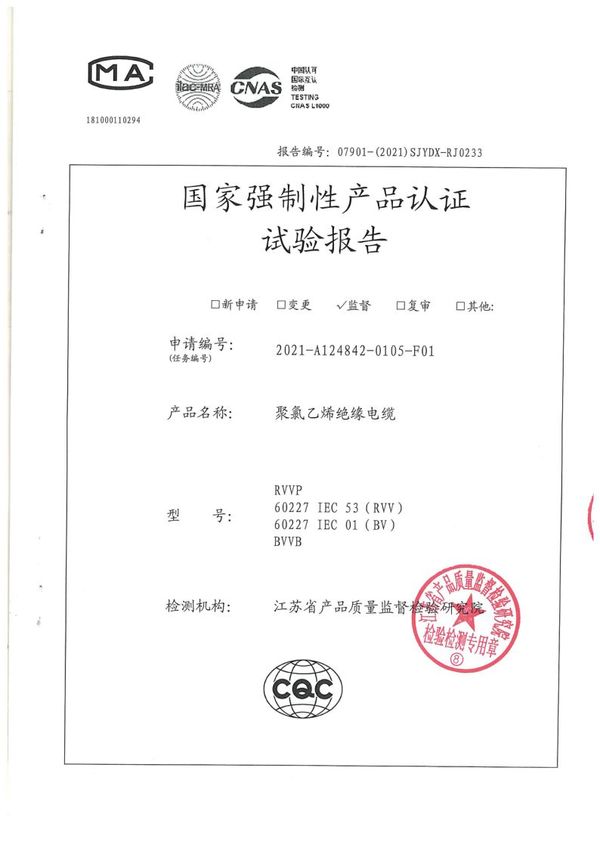 BV 6國家強制性產品認證試驗報告